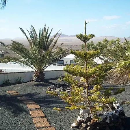 Bellatere * Lanzarote Island